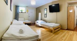 een kamer met 2 bedden en een flatscreen-tv bij Hostel Dalia in Zielona Góra