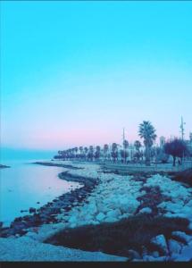 una spiaggia con rocce e palme e l'oceano di Apulia mon amour (Apulian Charming Apartement) a Mola di Bari