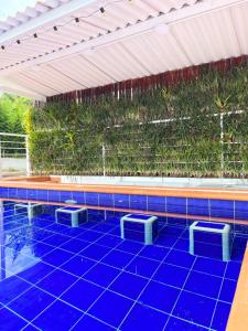 a swimming pool with blue tiles and a green wall at La Paloma Glamping in Palestina