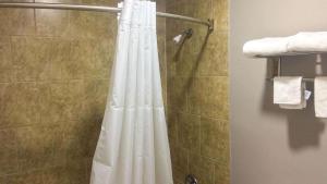 eine Dusche mit einem weißen Duschvorhang im Bad in der Unterkunft Motel 6 Newport News, VA – Fort Eustis in Newport News