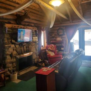 - un salon avec un canapé et une télévision dans l'établissement 1913 LOVE SHACK BETHEL WHITE LAKE NY, à White Lake