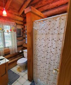 La salle de bains est pourvue de toilettes et d'un rideau de douche. dans l'établissement 1913 LOVE SHACK BETHEL WHITE LAKE NY, à White Lake