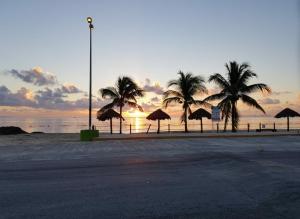 - un coucher de soleil avec des palmiers et des parasols sur une plage dans l'établissement Beautiful Rooms at playa Blanca, à Cancún