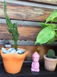 Foto da galeria de Pousada Alquimia em Olinda