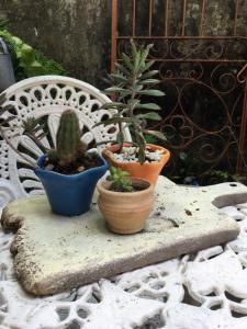 Pousada Alquimia durante o inverno