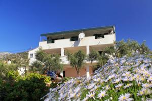 Fotografie z fotogalerie ubytování Apartments by the sea Zavala, Hvar - 8745 v destinaci Jelsa