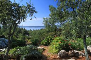 Fotografie z fotogalerie ubytování Apartments by the sea Zavala, Hvar - 8745 v destinaci Jelsa