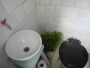 a bathroom with a toilet and a plant in it at Pinzon P&G in Buenos Aires