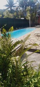 uma piscina azul com plantas em primeiro plano em Pousada Vila do Sonho em Paraty