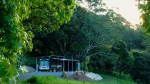 una pequeña cabaña en un bosque con árboles en Mesa Bus - Deluxe Byron Hinterland Eco Stay, en Rosebank