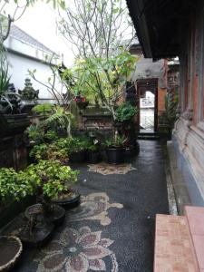 Zahrada ubytování WAH TEJA HOMESTAY