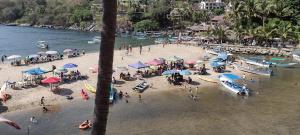 Příroda nedaleko apartmánu