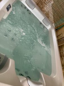 une baignoire remplie d'eau verte dans un lavabo dans l'établissement Paradise chez Nono, à Baie-Mahault