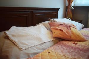 łóżko z dwoma poduszkami na górze w obiekcie Hotel Skaut w mieście Chorzów
