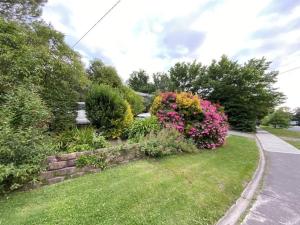 a garden with flowers and bushes on a street at Yarra House - Comfortable 3 bedroom home close to everything! in Healesville