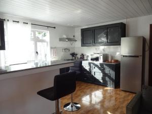a kitchen with black cabinets and a white refrigerator at View on Ilot Fourneau in Le Morne