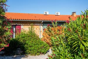 CarragozelaにあるQuinta do Chão da Vinhaのオレンジ色の屋根と植物のある家