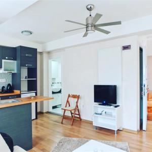 a kitchen and living room with a ceiling fan at Taksim Tulip Residences & Apart Hotel in Istanbul