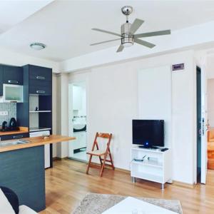 a kitchen and living room with a ceiling fan at Bianco Residence Taksim in Istanbul