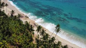 eine Luftblick auf einen Strand mit Palmen in der Unterkunft Sandhara Home Stay in Tangalle