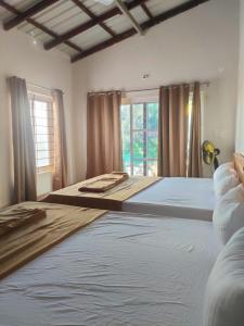 um quarto com 2 camas e uma janela em Trippr Gokarna - Beach Hostel em Gokarna