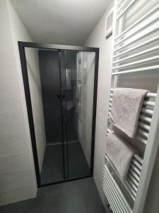 y baño con ducha y puerta de cristal. en Apartmány ČERNÝ KOHOUT, en Černá v Pošumaví
