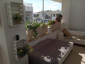 une chambre avec des plantes en pot et un canapé sur un balcon dans l'établissement La casa di Elena, à Sannicandro di Bari