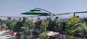 Zahrada ubytování Nepalaya Hotel