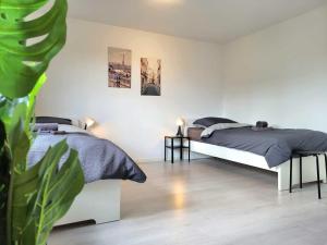 una camera con due letti e una pianta di Cozy & Modern 4 Room Flat near Hanau a Gedern