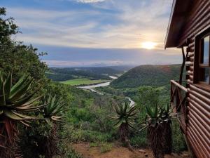 a view of a river from a house with plants at Mansfield Private Reserve in Port Alfred