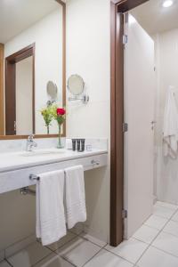 a bathroom with a sink and a mirror at Astron Hotel Bauru by Nobile in Bauru