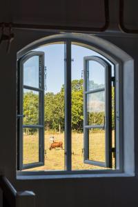 Fotografie z fotogalerie ubytování Ekenäs Gård på Österlen v destinaci Kivik