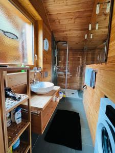Vannituba majutusasutuses Chalet Biene - Swiss Alp Chalet with Sauna and Jacuzzi