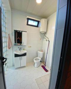 La petite salle de bains est pourvue de toilettes et d'un lavabo. dans l'établissement shekvetili, à Shekvetili
