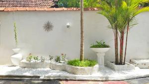 um pátio com palmeiras e uma parede branca em Boho Garden Guest House em Mirissa