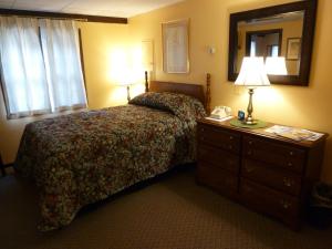 a bedroom with a bed with a dresser and a mirror at Viking Motel in Wilmington