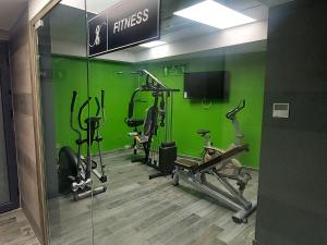Fitness centrum a/nebo fitness zařízení v ubytování El Ghanami Hotel