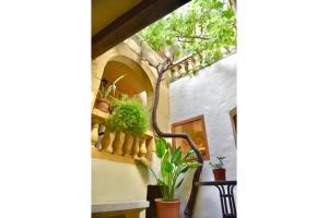 a hallway with potted plants on a wall at Ta'Martin Farmhouse Xewkija Gozo in Xewkija