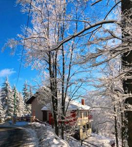 a tree covered in snow next to a house at Mountain apartment ''Michelle'' in Kakanj