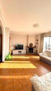 蒙蒂尼奧索的住宿－Beatrice Apartment Crocello，带沙发和电视的客厅