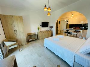 a large room with a bed and a kitchen at XENIOS SUITES in Ligourio
