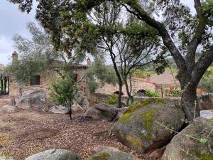 Ogród w obiekcie Casas Rurales Monasterio de Rocamador
