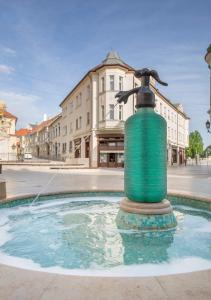 Bazén v ubytovaní Hotel Domus Collis alebo v jeho blízkosti