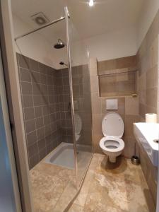 un bagno con doccia, WC e lavandino di Les terrasses de la vallée du miel a Vaumeilh