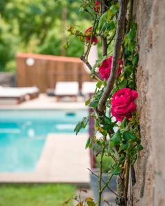 un montón de rosas rosas creciendo en una pared junto a una piscina en Casa da Várzea - Serra da Estrela, en Fornos de Algodres