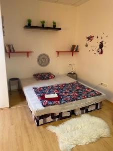 ein Schlafzimmer mit einem Bett in einem Zimmer mit einem Teppich in der Unterkunft apartman-Rača in Bratislava