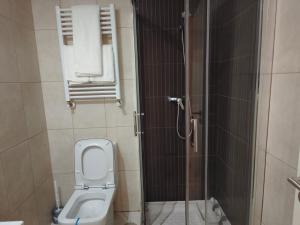 La petite salle de bains est pourvue d'une douche et de toilettes. dans l'établissement Casa Jaime, à Alcalá de Henares