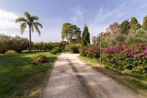 A garden outside Donna Vittoria - Grande