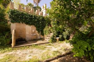 A garden outside Donna Vittoria - Grande