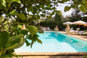 The swimming pool at or close to Donna Vittoria - Grande